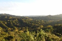 la foresta in rigenerazione della Karen