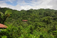 la estación vista desde el centro ambiental 2